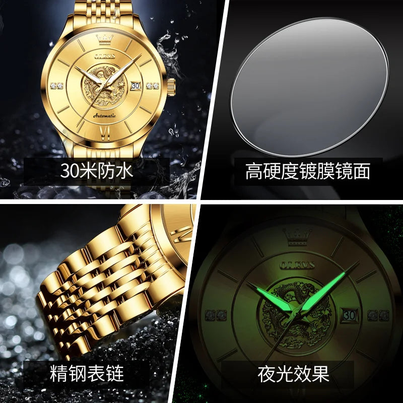 OLEVS Xianglong Relief Fully Automatic Mechanical Men's Watch – Model 6693